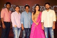 Srinivasa Kalyanam Movie Success Meet
